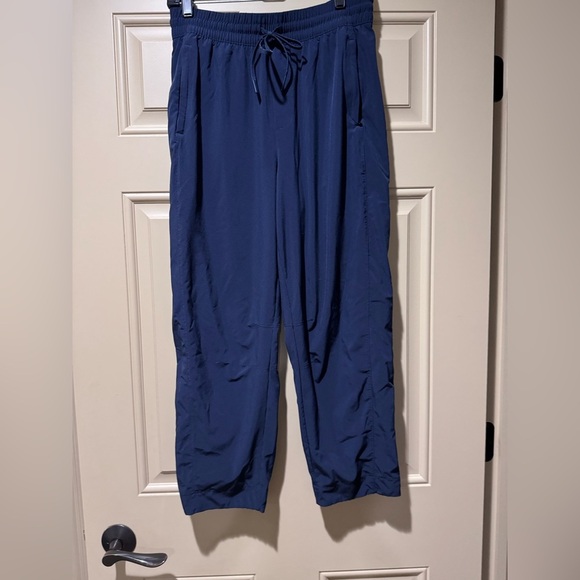 Athleta Blue Cropped Ankle Pants Slim Fit - Picture 13 of 16